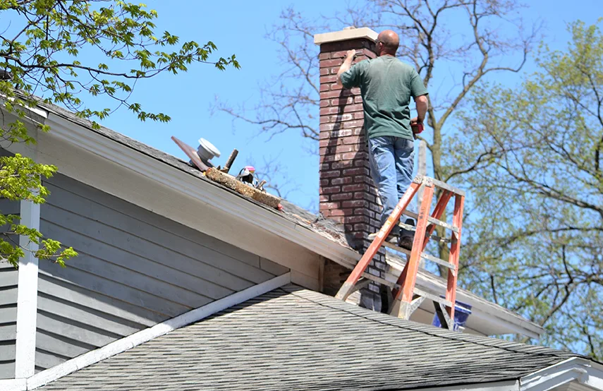 Chimney & Fireplace Inspections Services in Willowbrook, CA